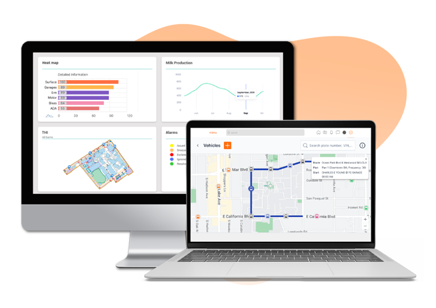 Management Dashboard & Analytics