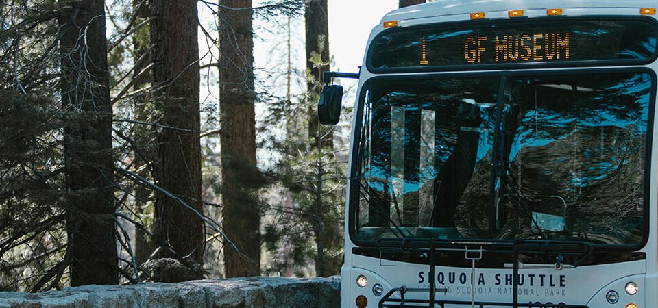 the power of transport management